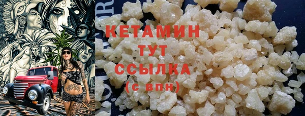 прущие грибы Гусев