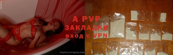 прущие грибы Гусев