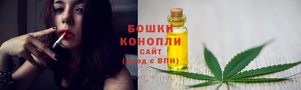 прущие грибы Гусев