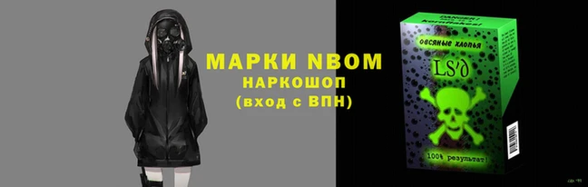 прущие грибы Гусев