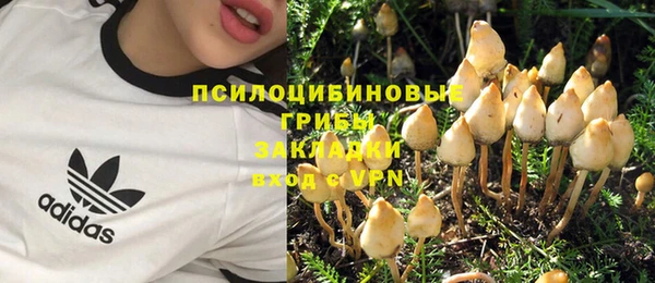 экстази Гусь-Хрустальный