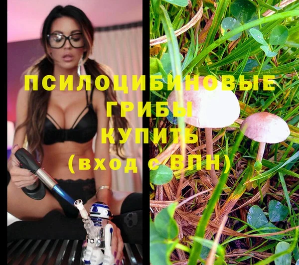 соль ск Рославль