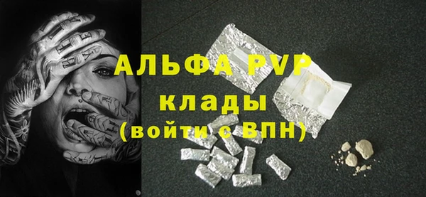 прущие грибы Гусев