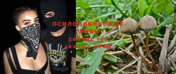 спайс Гусиноозёрск
