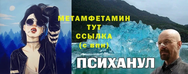 прущие грибы Гусев