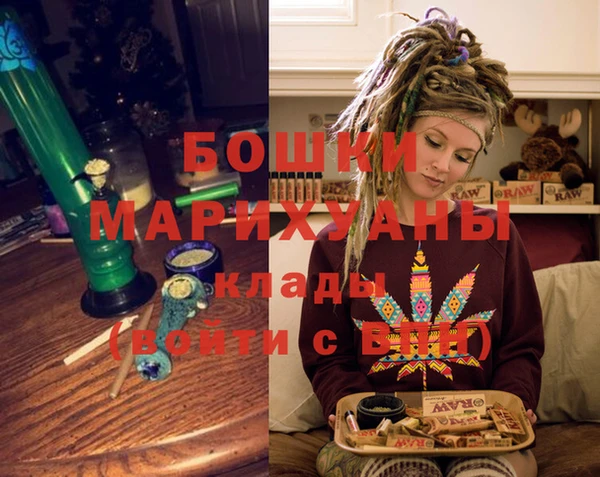прущие грибы Гусев