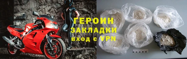 прущие грибы Гусев